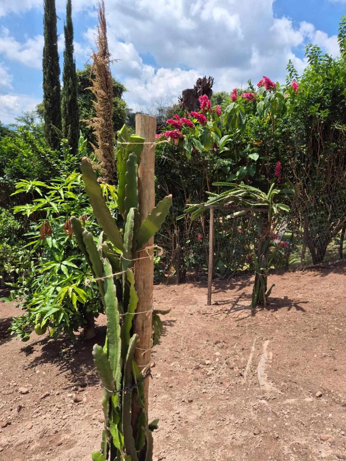 Pousada Verde Villas Brumadinho Kültér fotó